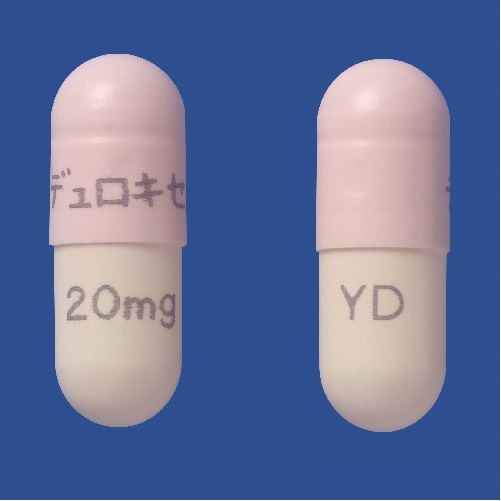 デュロキセチンカプセルmg Yd 株式会社 陽進堂